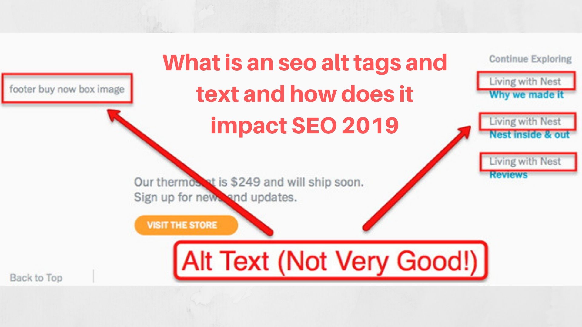 What is an seo alt tags and text and how does it impact SEO 2019